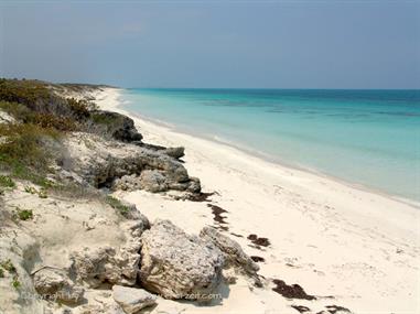 2004 Cuba, Cayo Ensenachos, DSC00839 B_B720